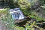 PICTURES/Annie Creek Trail - Crater Lake National Park/t_P1210225.JPG